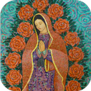 Virgen de Guadalupe 12 Dic APK