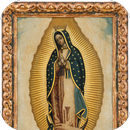 Virgen Guadalupe Caricatura 2 APK