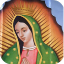 Virgen de Guadalupe Cuadro APK