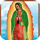 Virgen Guadalupe dibujo color APK