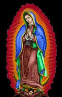 Virgen Guadalupe dibujo color पोस्टर