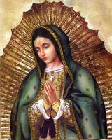 Virgen Guadalupe dibujo color imagem de tela 3