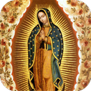 Virgen de Guadalupe en México APK