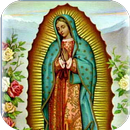 Virgen Guadalupe Espectacular APK