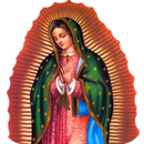 Virgen de Guadalupe Fotitos APK
