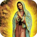 Virgen de Guadalupe te llora APK