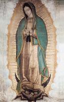 Virgen de Guadalupe Gracia screenshot 1