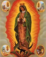 Virgen de Guadalupe Gracia スクリーンショット 2