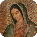 Virgen de Guadalupe México APK