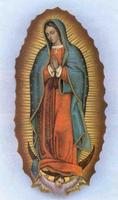 Virgen de Guadalupe Original Completa تصوير الشاشة 2