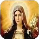 Virgen Maria Vida APK