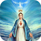 Virgen Maria Aniversario-icoon