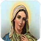 Virgen Maria Biblia أيقونة