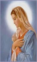 Virgen Maria de la Luz স্ক্রিনশট 2