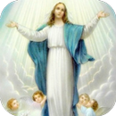 Virgen Maria en el Antiguo Testamento APK