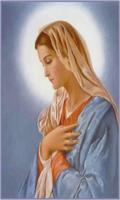 Virgen Maria Reina del Cielo ภาพหน้าจอ 2