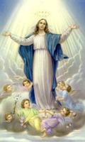 Virgen Maria Reina del Cielo ภาพหน้าจอ 3