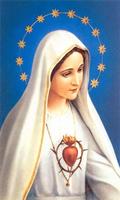 Virgen Maria Rosa Mistica Oracion Affiche