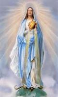 Virgen Maria Ruega por Nosotros imagem de tela 2