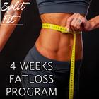 Home Fatloss : 4 Weeks Plan ไอคอน