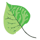 Advanced Allergy Relief