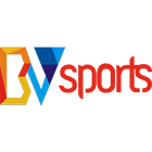 BV Sports icône
