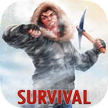 Island Survival 3D WINTER