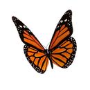 Animated 3D Butterfly APK