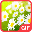 힐링이 필요할 때 (이미지,GIF, 동물, 자연)-APK