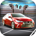 Car Driver Parking