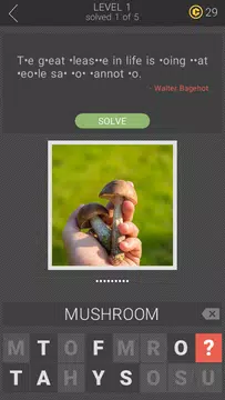 Screenshot 5 for Hidden Letters
