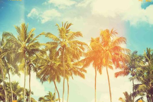 wallpaper palm tree apk download free personalization app for