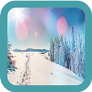 Winter Wallpaper App-APK