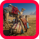 Ancient Egypt Wallpapers-APK