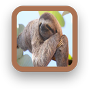 APK Animal Wallpaper App