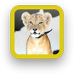 Baby Lion Wallpapers Free