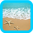 Beach Wallpaper Free APK