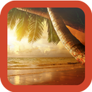 Beach Wallpaper HD APK