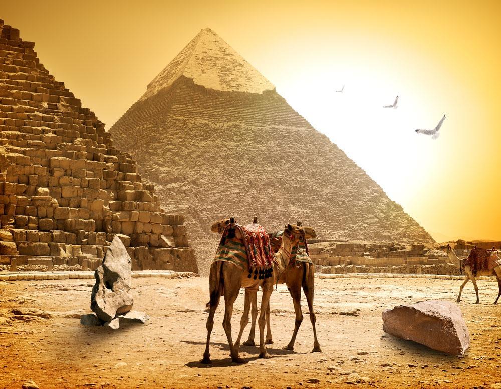 Free Egypt Wallpaper For Android Apk Download