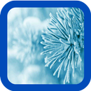 Free Winter Wallpapers aplikacja