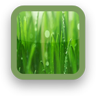 Green Grass Wallpaper-icoon
