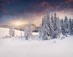 HD Winter Wallpaper 스크린샷 2