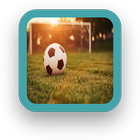 Soccer wallpaper آئیکن