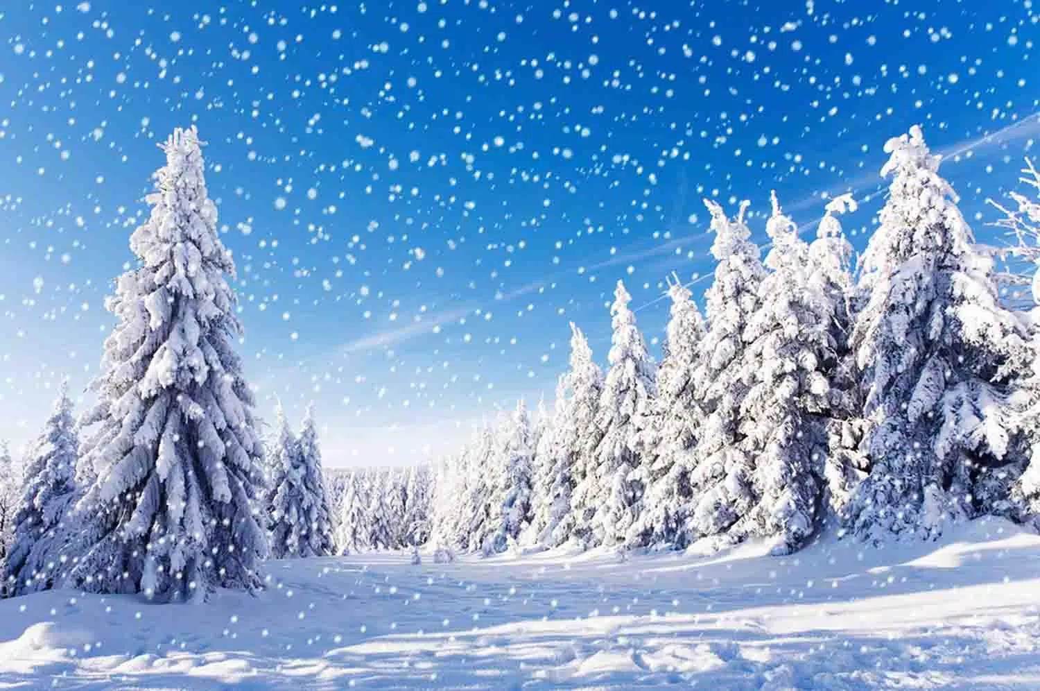 Snowfall Wallpaper APK for Android Download