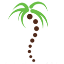APK Pura Vida Chiropractic