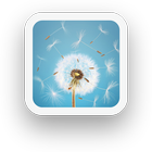 Spring Flowers Free Wallpaper icon