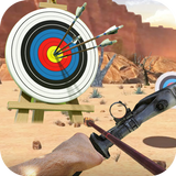 Archery Target Shooting Sim icon