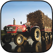 Log Transporter Crane Driver