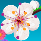 Aa Dots Color Flowers أيقونة