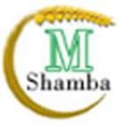 M-Shamba icône
